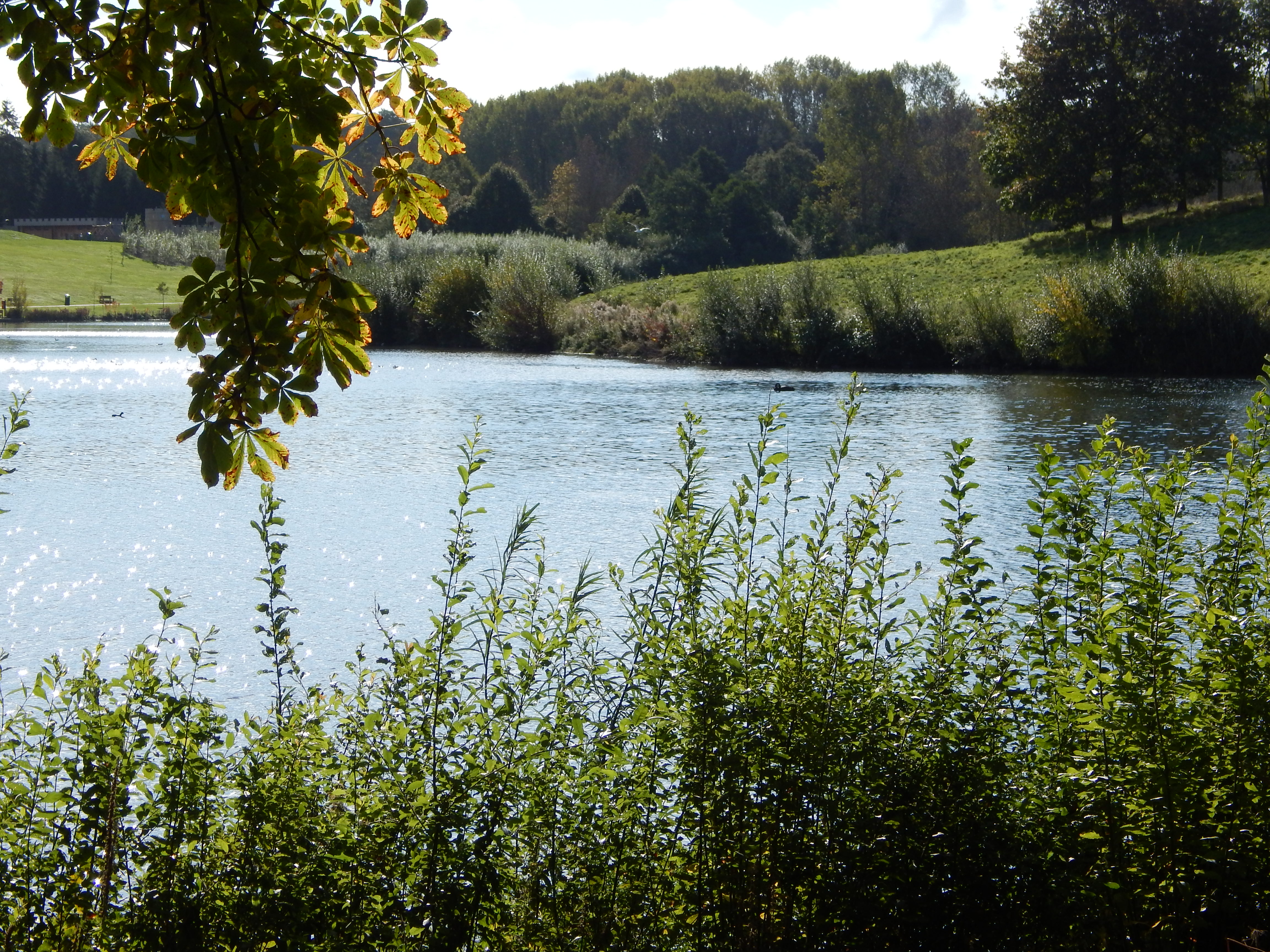 DSCN2108.JPG
