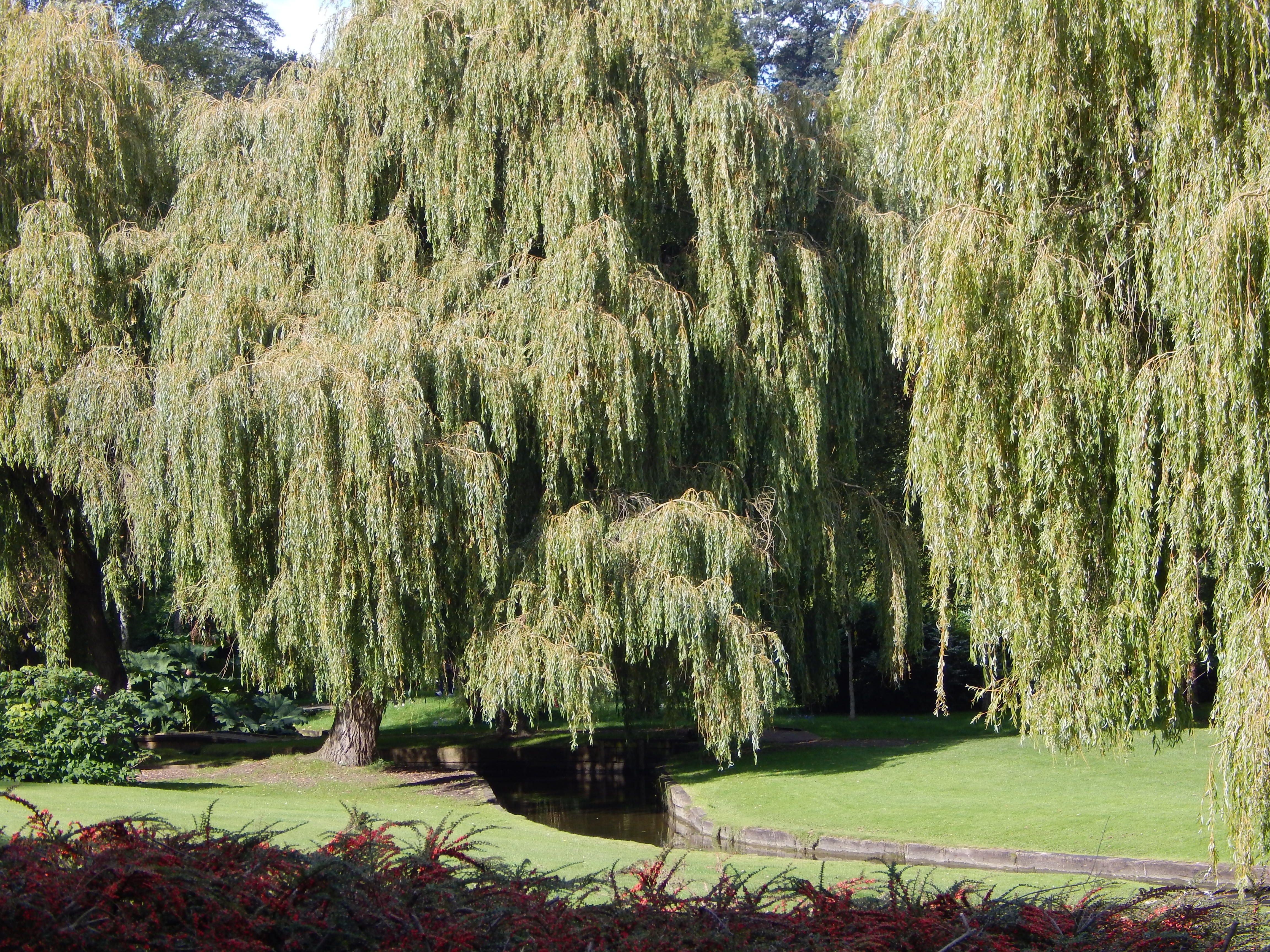 DSCN2240.JPG