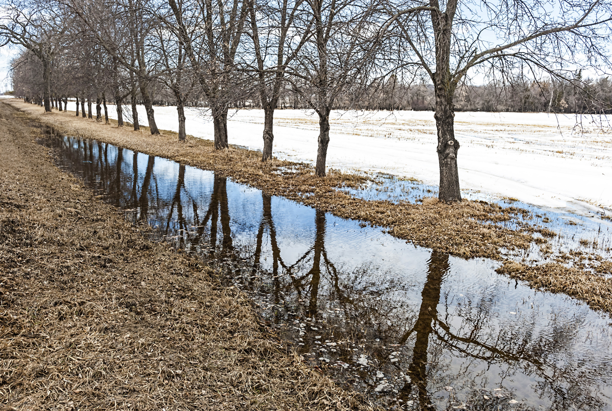 Reflections in Melting Snow