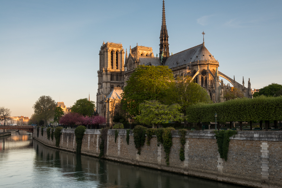 Notre Dame Morning  15_d800_1012
