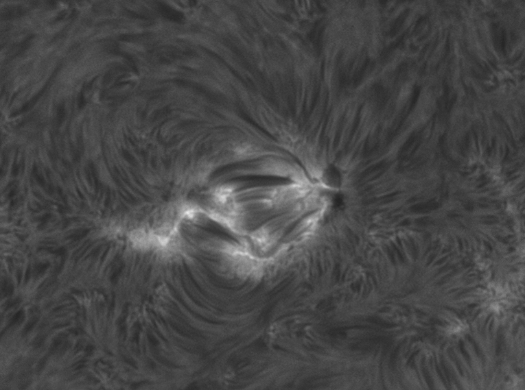 AR2589 timelapse 10 September 2016