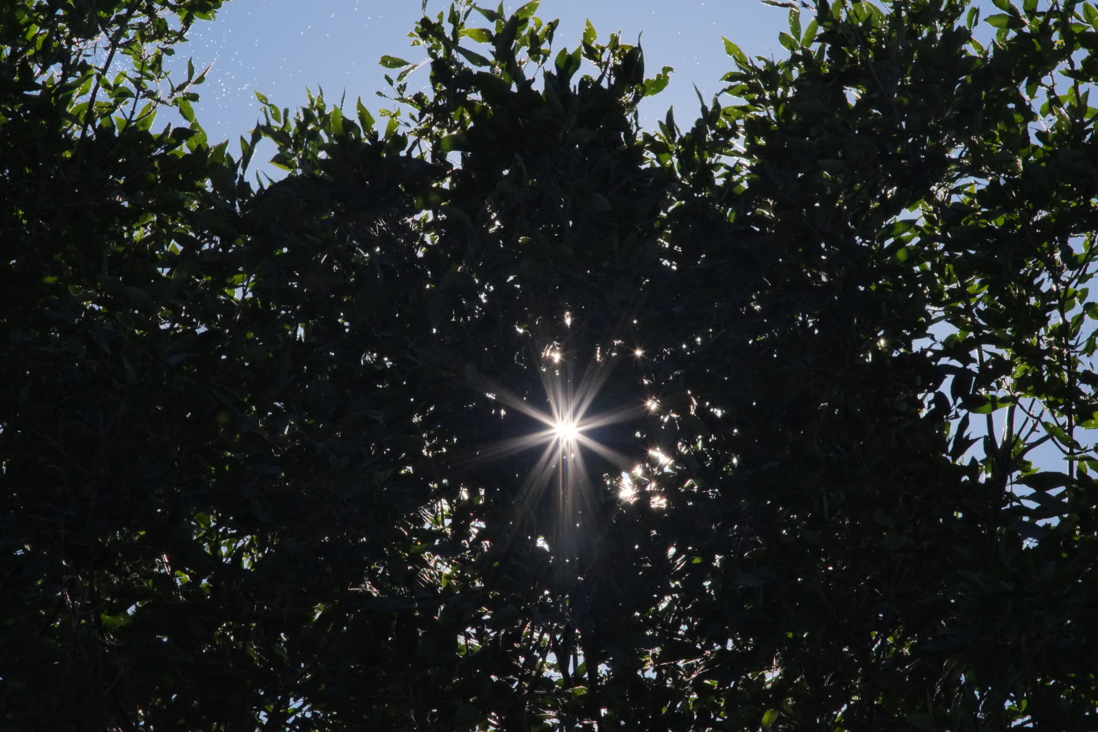 130917_DSCF2233.jpg