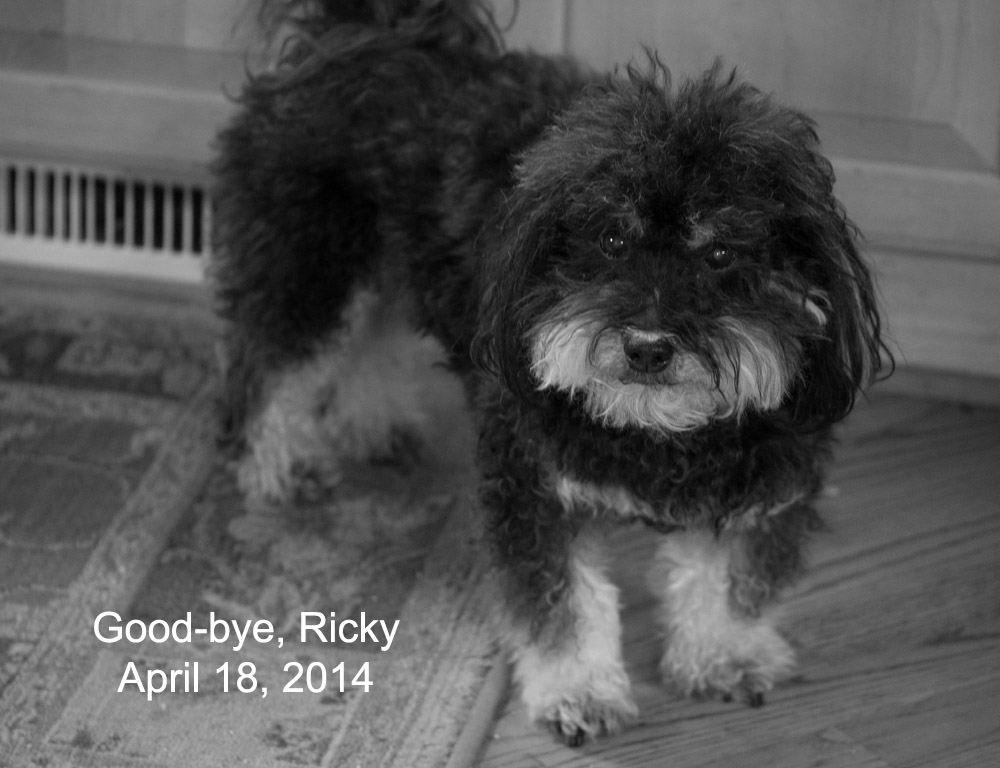 Good Bye Ricky