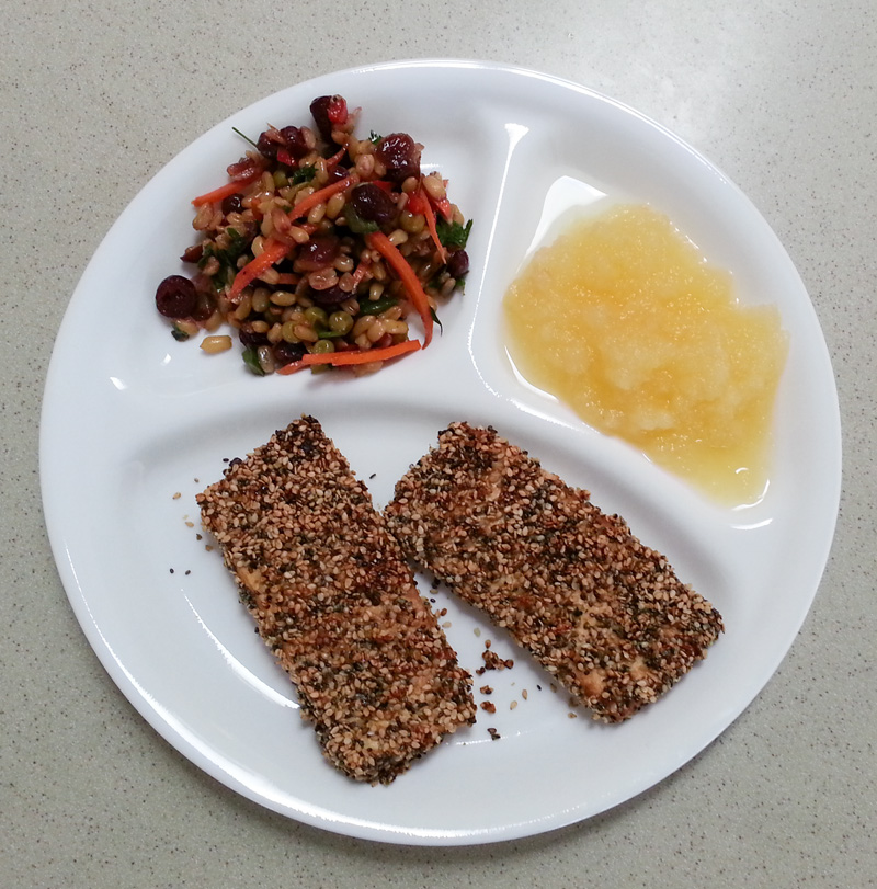 Seed Crusted Tofu Cutlets