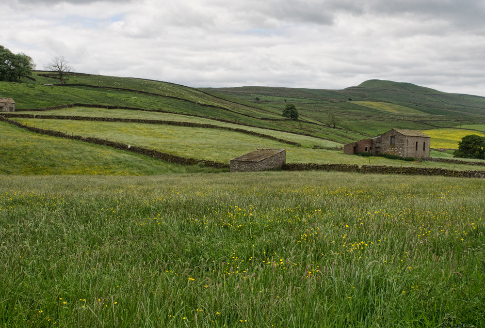 SIL60443 Patchwork Hills