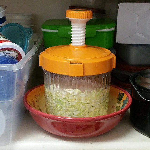 Growing my own Probiotics
