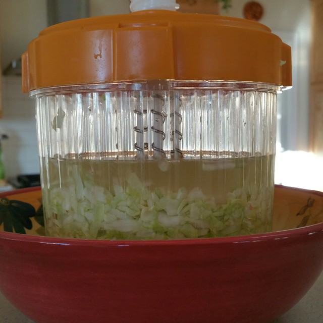 Look at all the water thats come out of the salted cabbage...