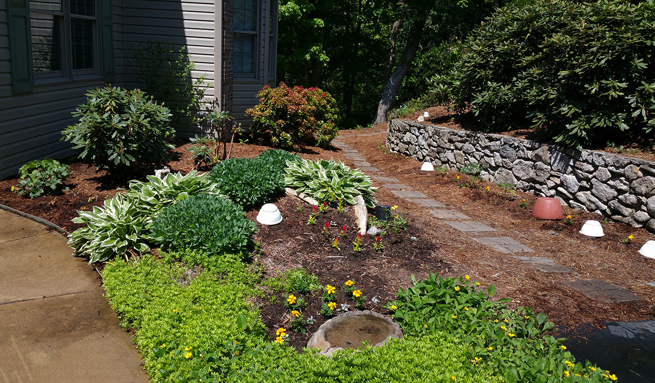 May 8, 2015 - All annuals and vegetables planted!