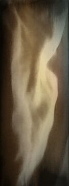 pixlerized into this...