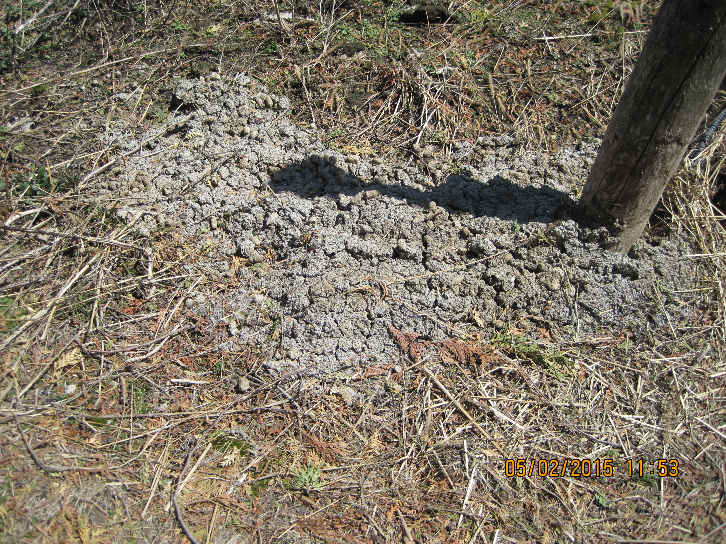 Cat Litter Thrown on Property Outside House