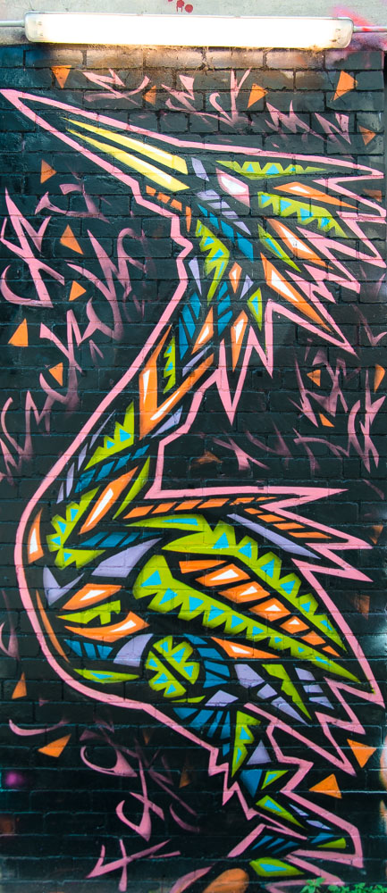_DSC6456.jpg