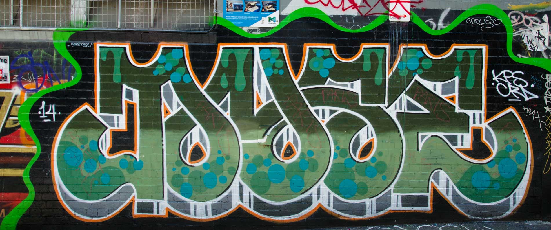 _DSC8012.jpg