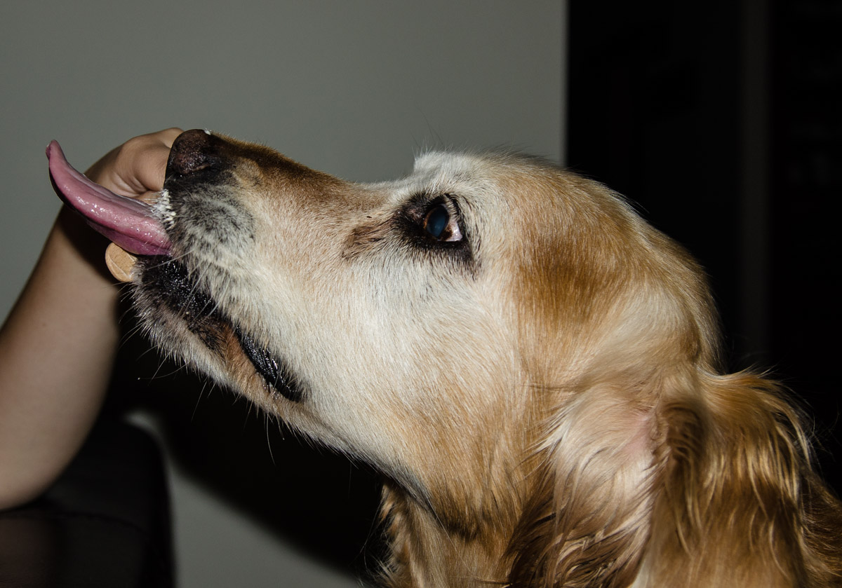 _DSC8060.jpg