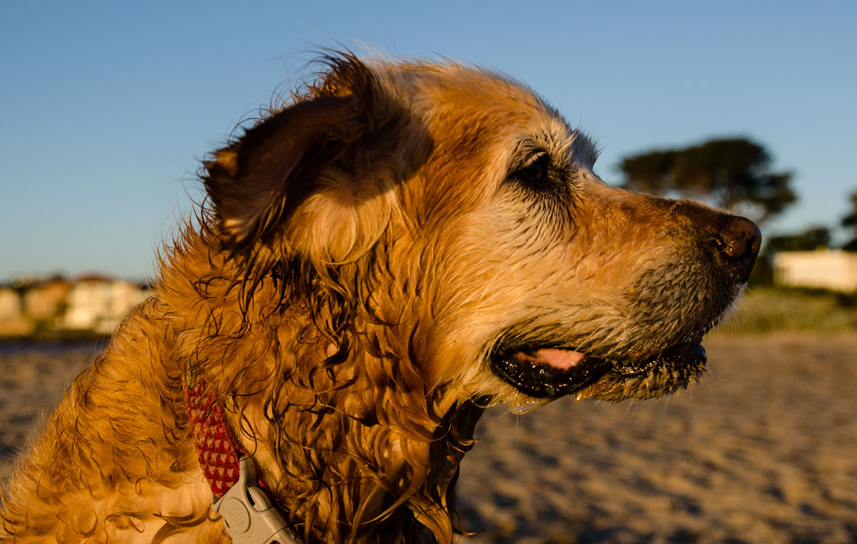 _DSC8097.jpg