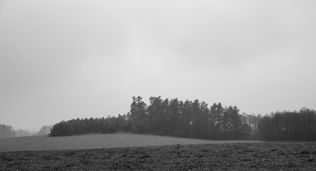 _DSC7439.jpg
