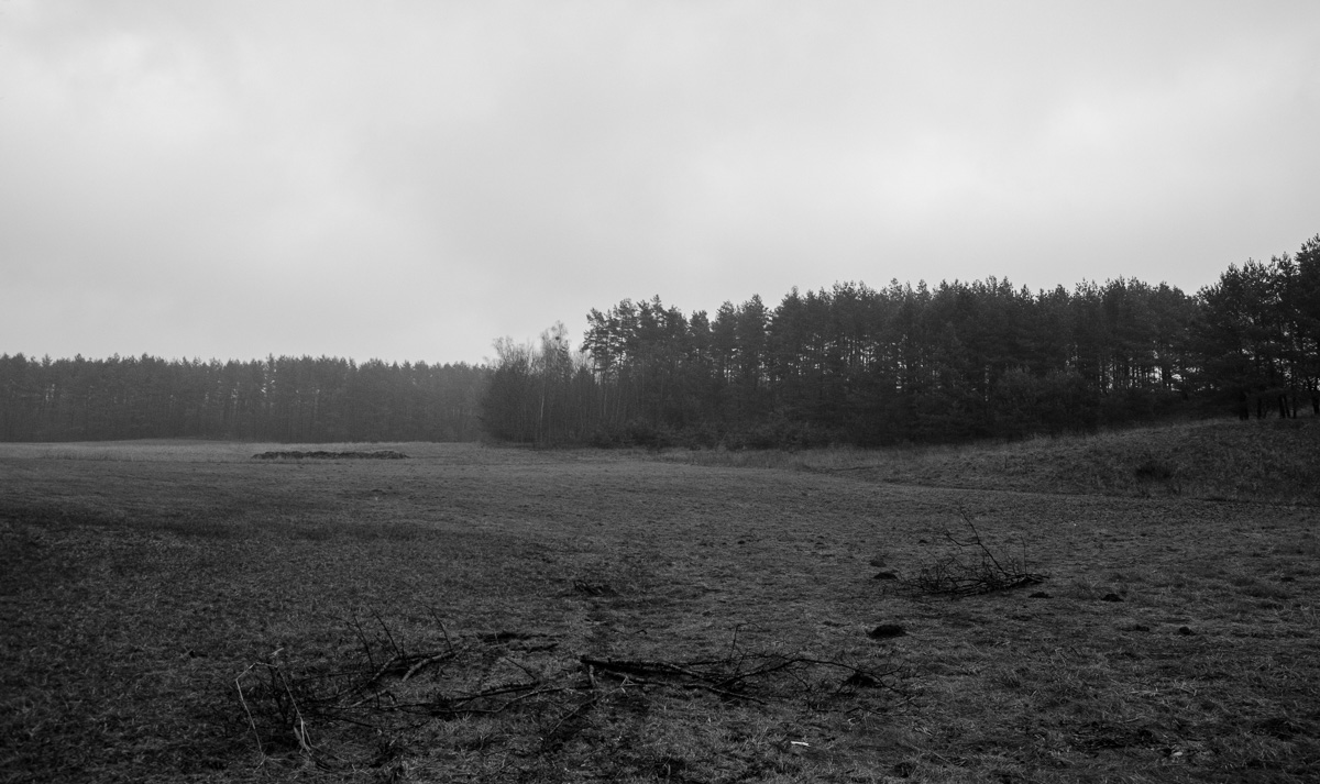 _DSC7438.jpg
