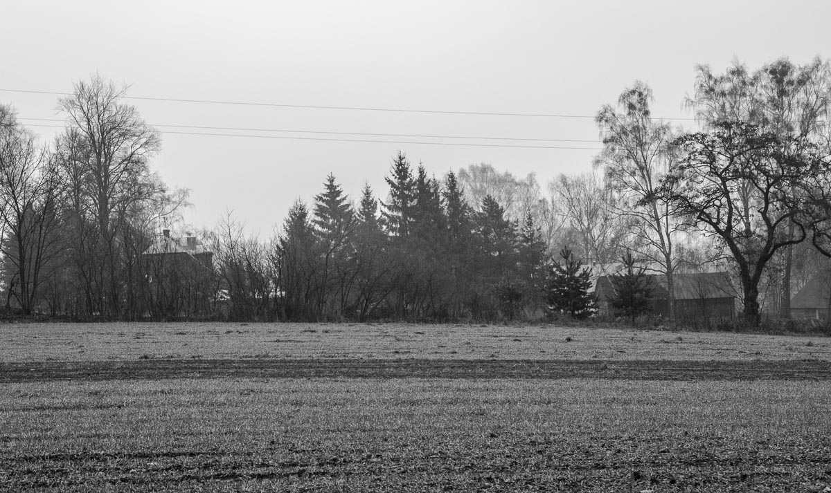 _DSC7434.jpg
