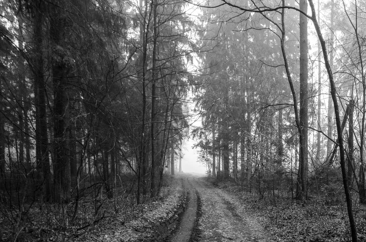 _DSC7403.jpg