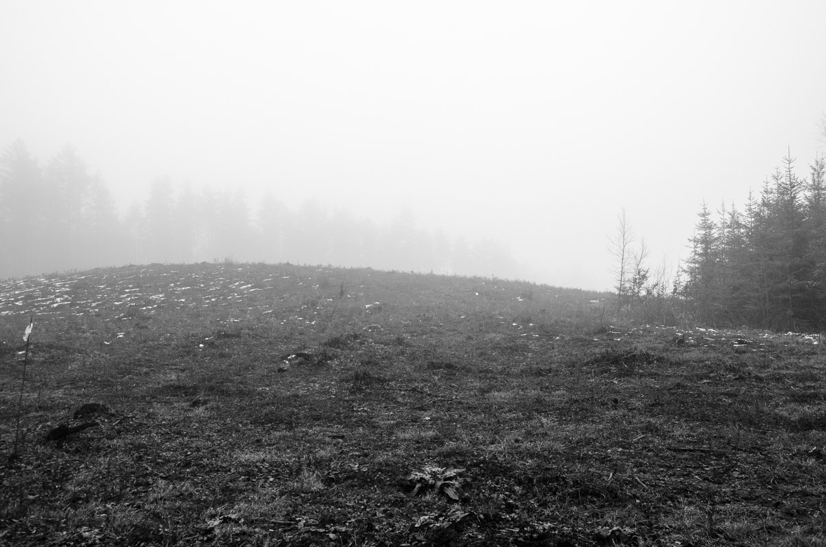 _DSC7402.jpg