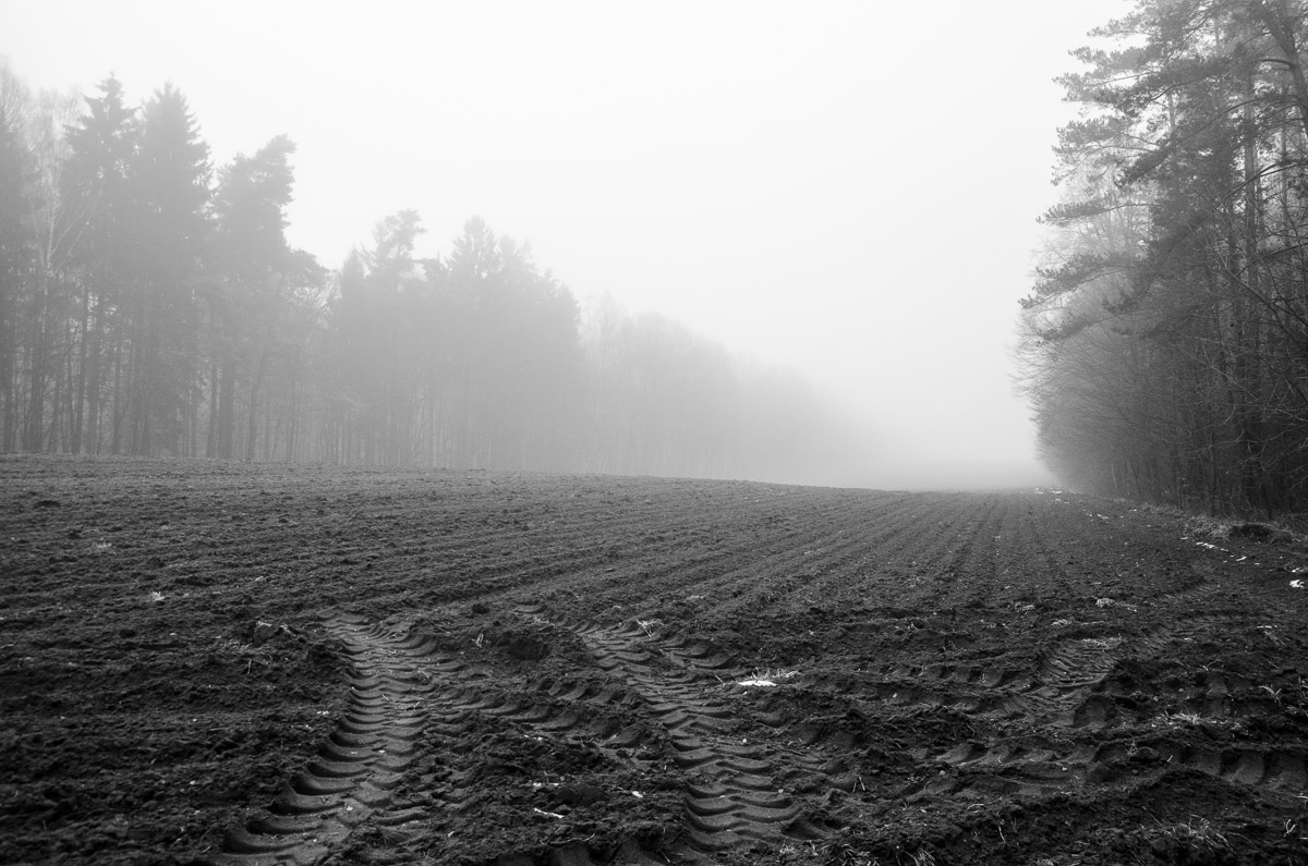 _DSC7390.jpg
