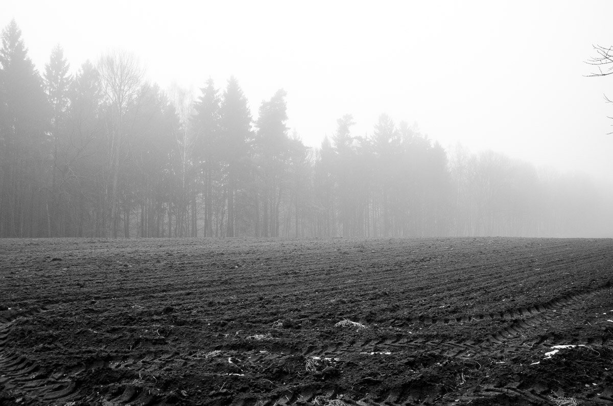 _DSC7389.jpg