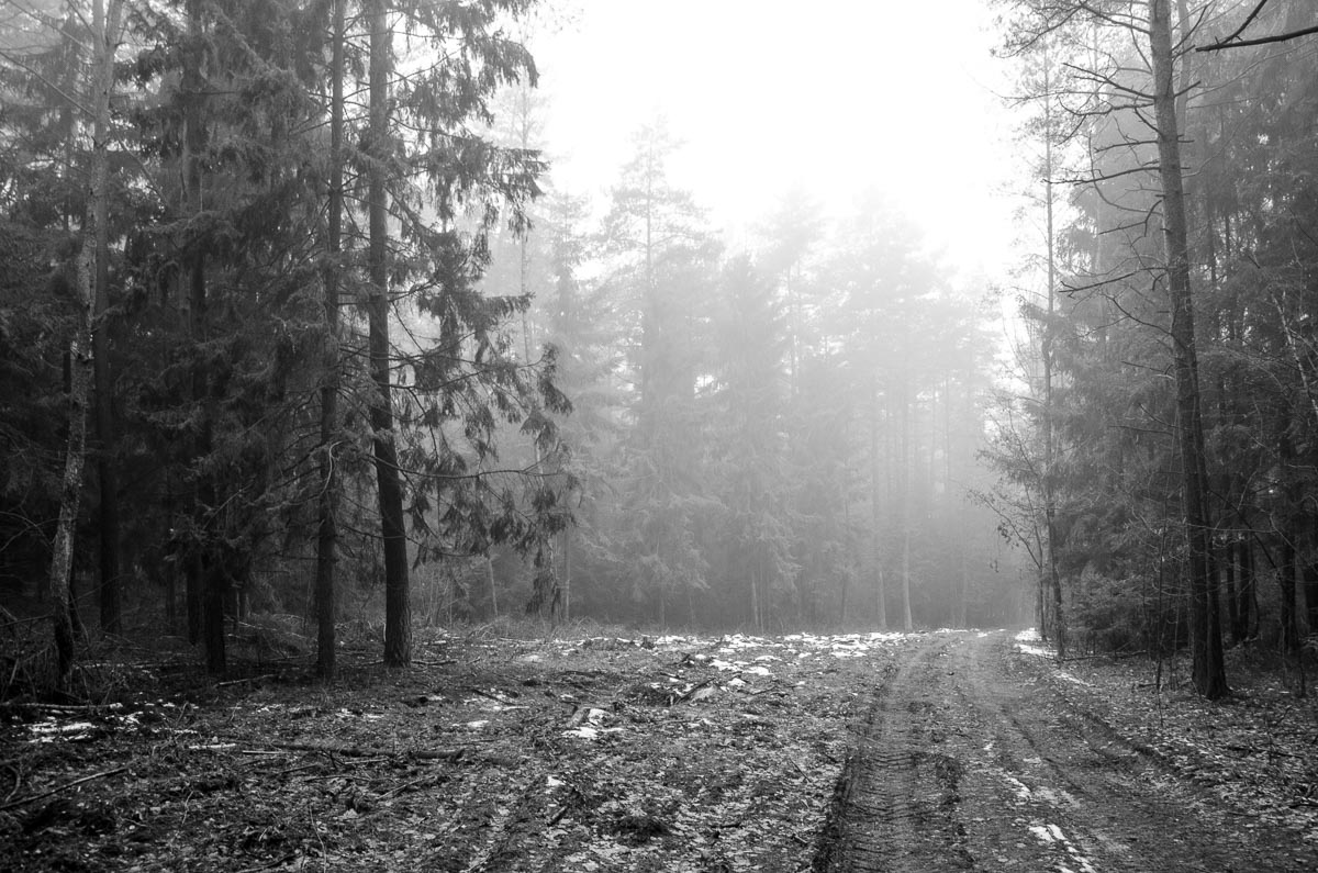 _DSC7383.jpg