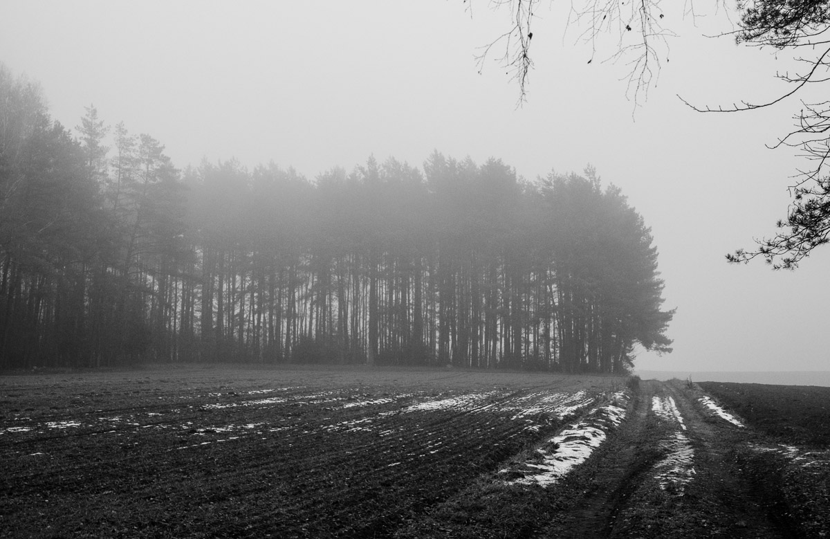 _DSC7378.jpg