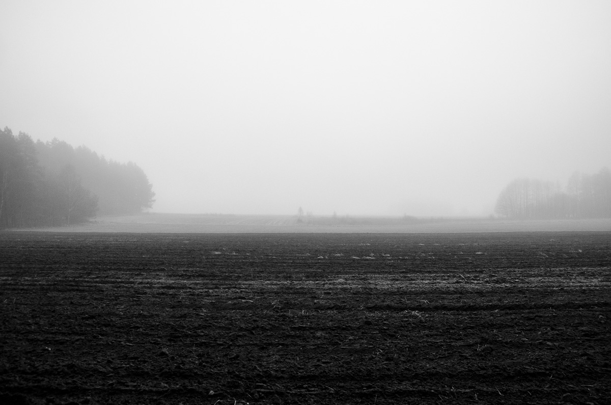 _DSC7367.jpg