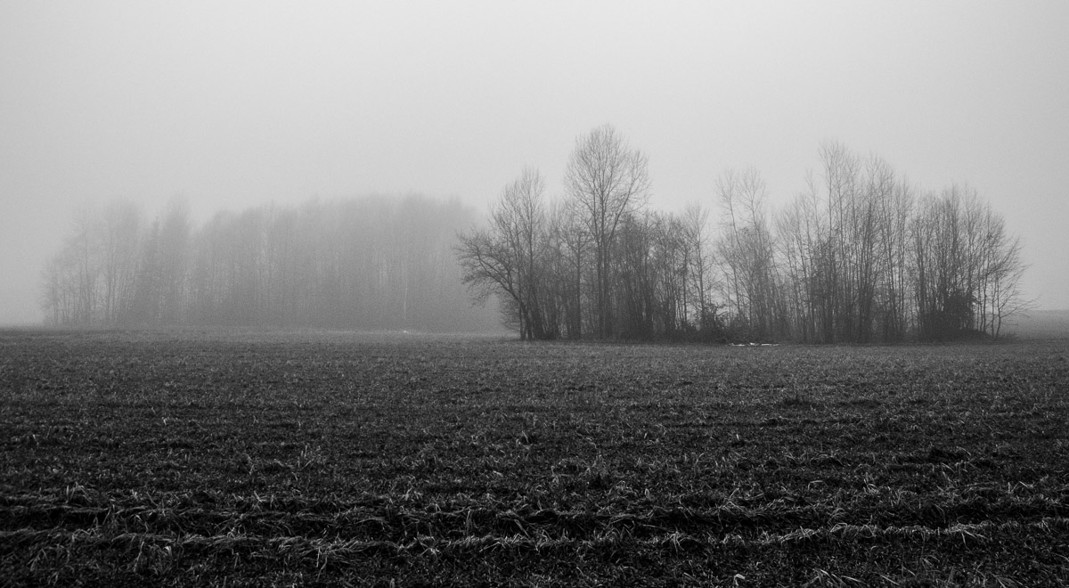 _DSC7361.jpg