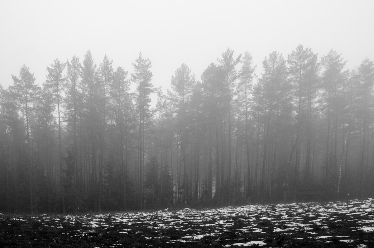 _DSC7346.jpg