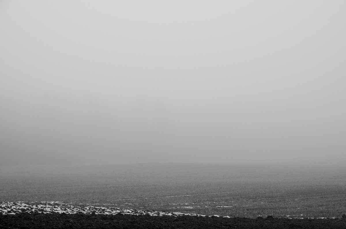 _DSC7335.jpg