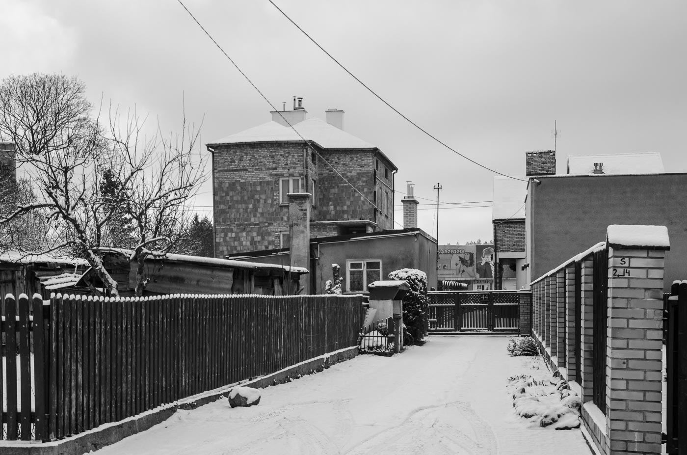 _DSC7872.jpg