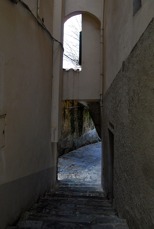 Wintery Shadows6122