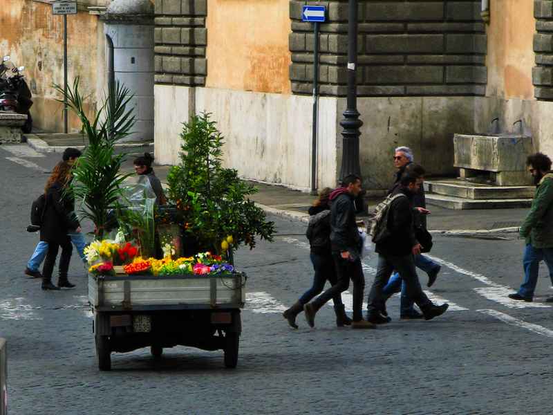 A Moving Garden5023