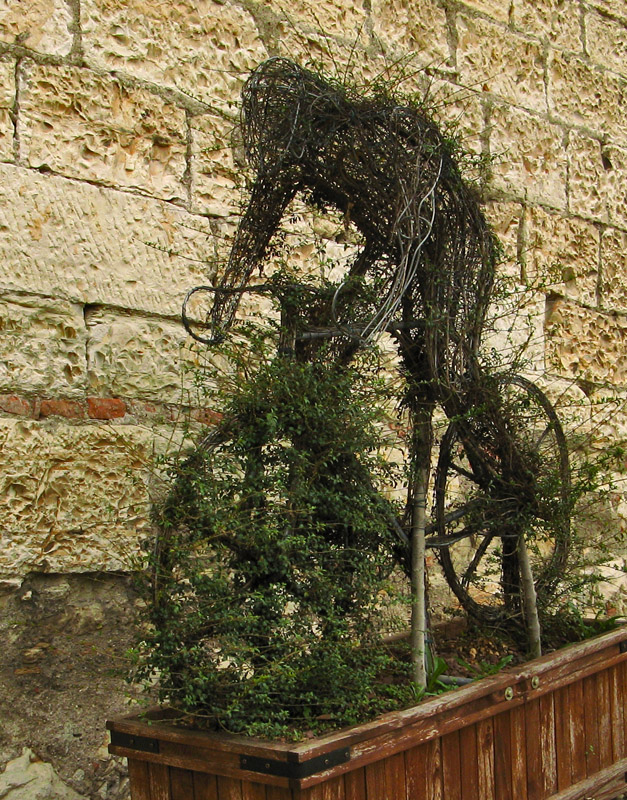 A Vinecovered Cyclist5612