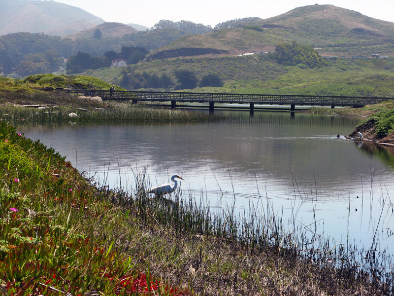 The Lagoon on a Foggy Morning6015