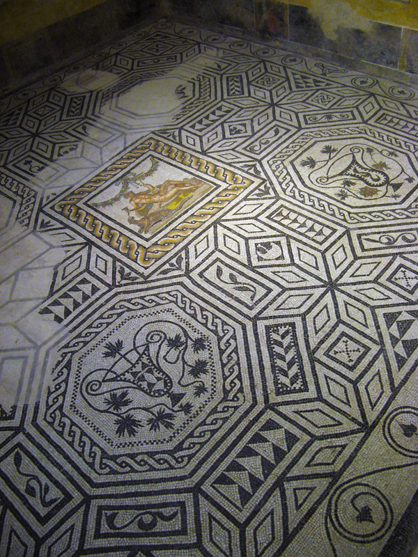Roman Mosaic Floor5676