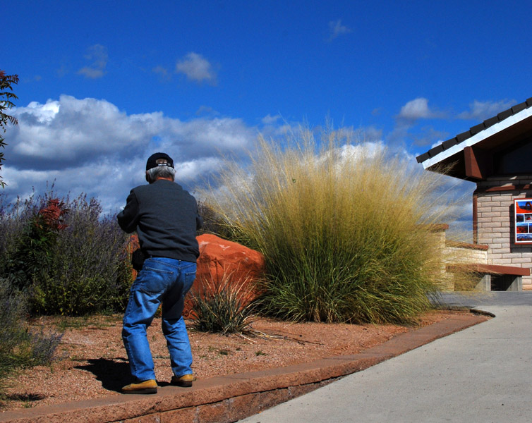 Robin Shoots a View0161