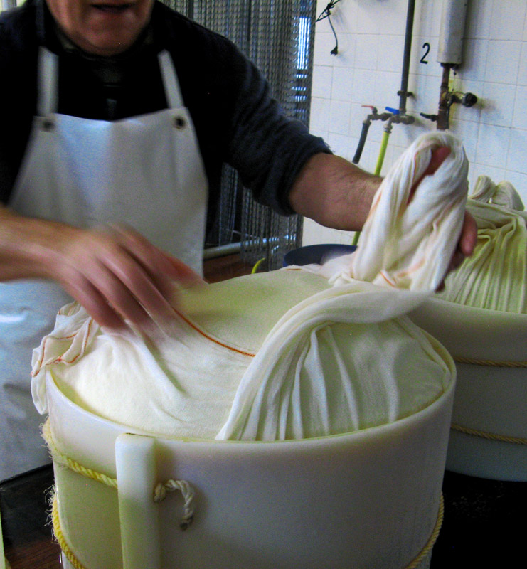 Egidio arranges the cheesecloth over the top of the cheese6512