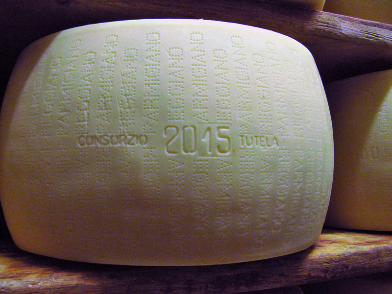 Parmigiano is documented from the first day6536