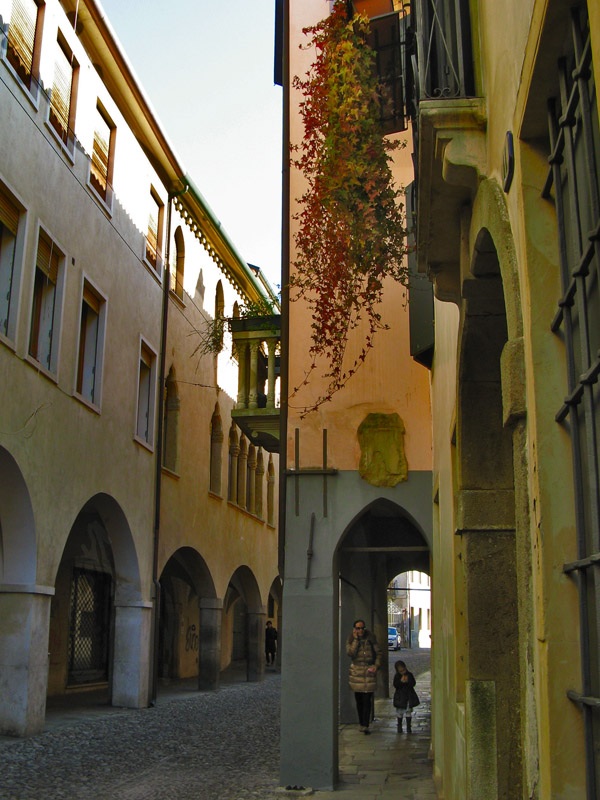 Typical street with Portici6339