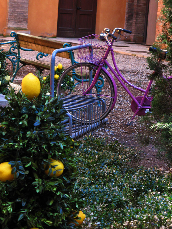 Pink, er Magenta bike with Lemons6636
