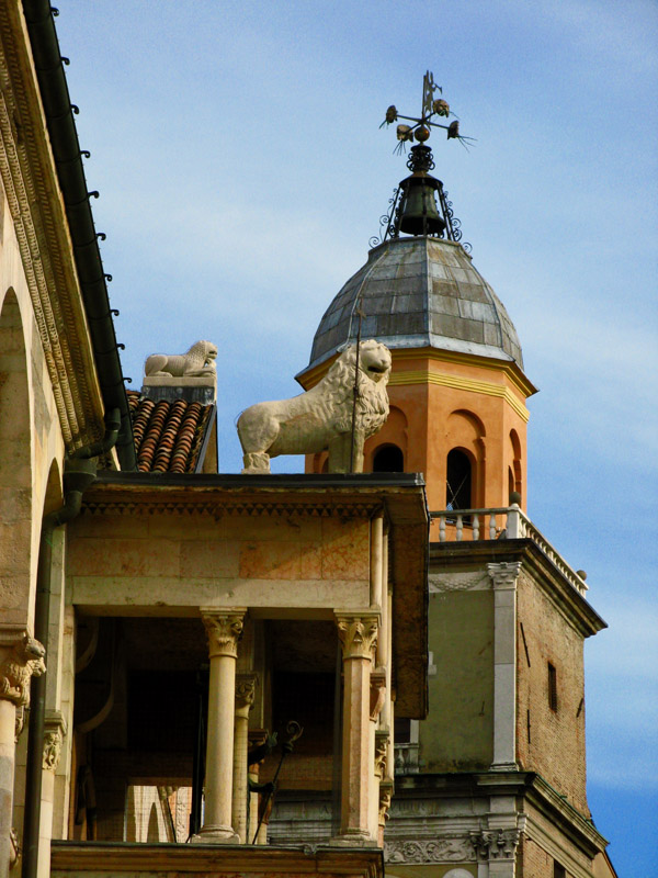 Lions on the Roof6686