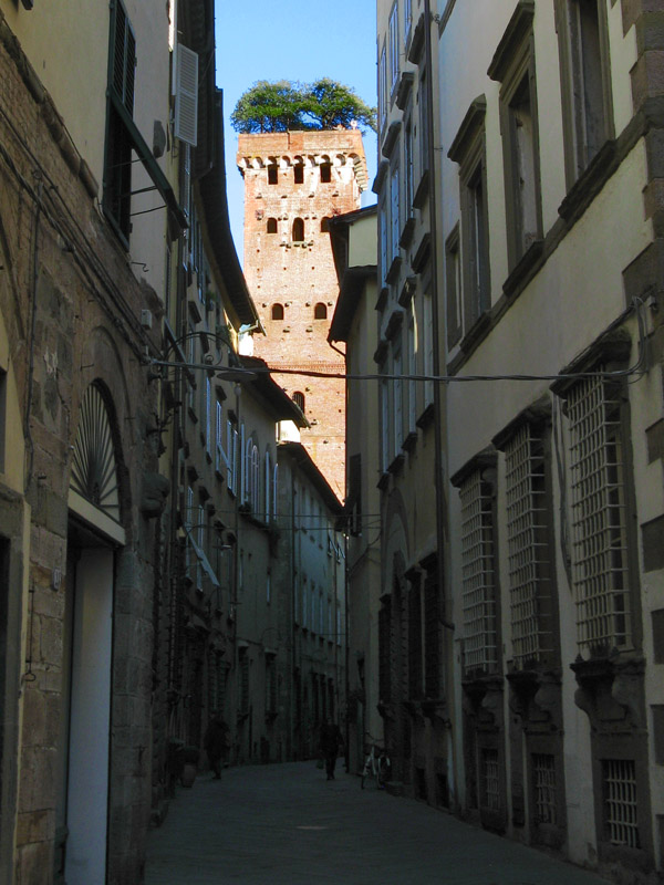 The Torre del Guinigi7030
