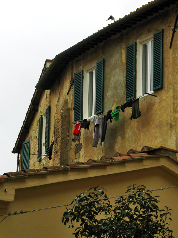 The Usual Laundry6973