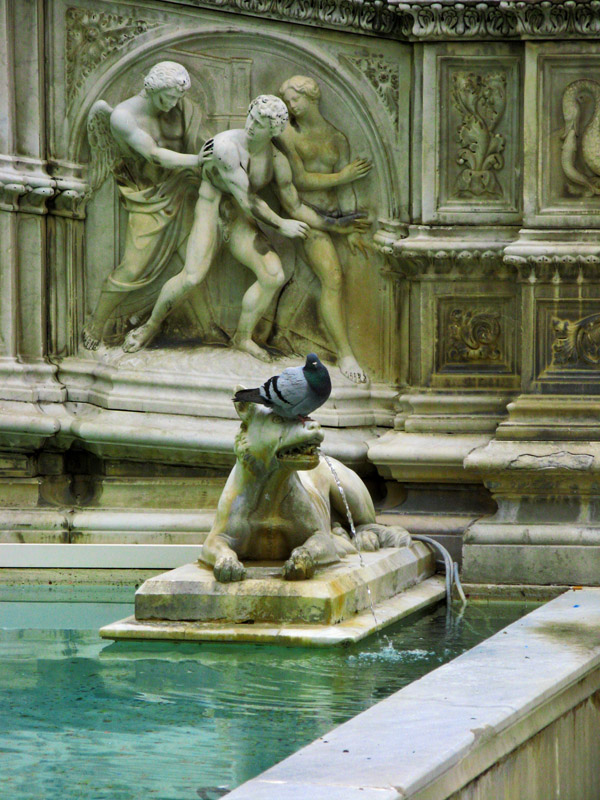 Fonte Gaia6992