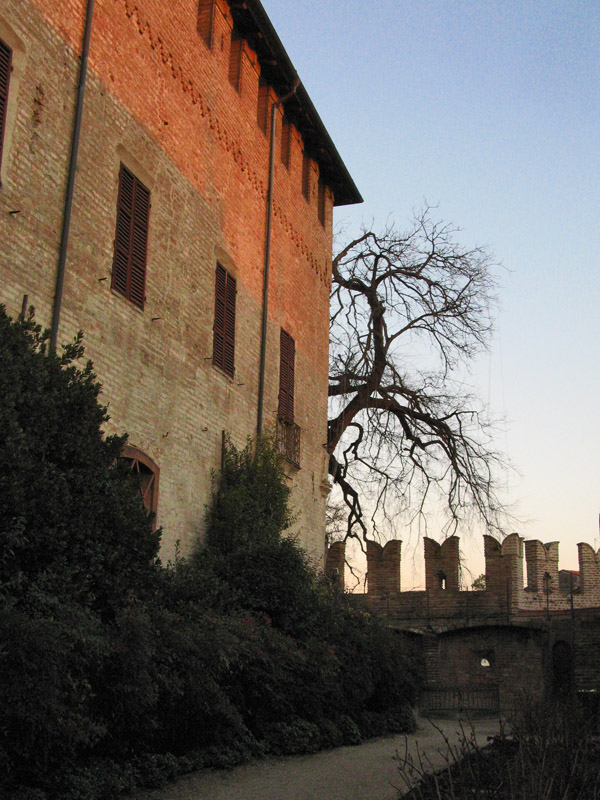 Castello of Fontanellato7764