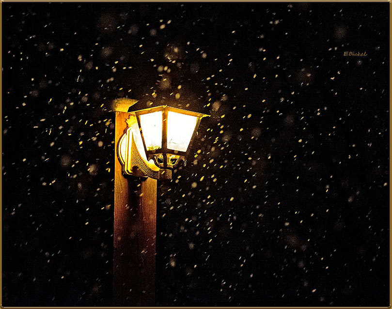Yellow Light 2017