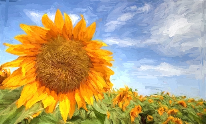 Sunflowers Van Goph Style with Topaz impressions.