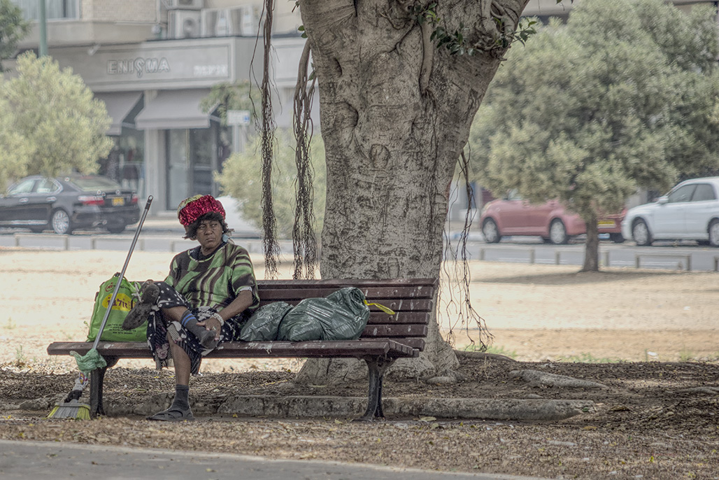 The Park Cleaner.jpg